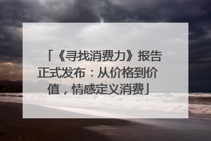 《寻找消费力》报告正式发布：从价格到价值，情感定义消费