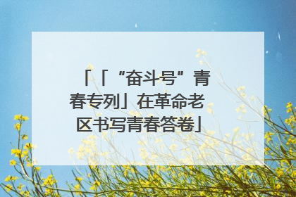 「“奋斗号”青春专列」在革命老区书写青春答卷