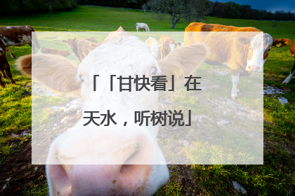 「甘快看」在天水，听树说
