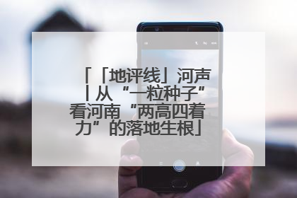 「地评线」河声丨从“一粒种子”看河南“两高四着力”的落地生根