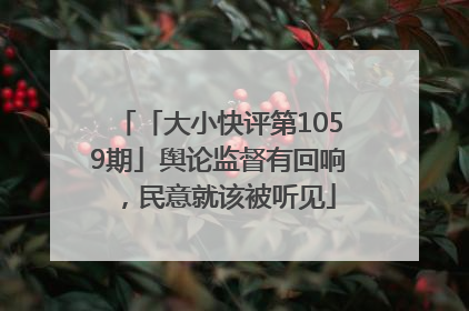 「大小快评第1059期」舆论监督有回响，民意就该被听见