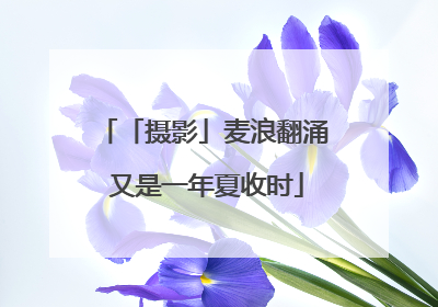 「摄影」麦浪翻涌 又是一年夏收时