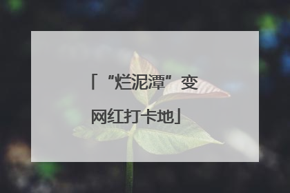 “烂泥潭”变网红打卡地