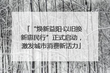 “焕新益阳·以旧换新惠民行”正式启动，激发城市消费新活力