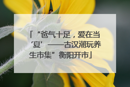 “爸气十足，爱在当‘夏’——古汉潮玩养生市集”衡阳开市