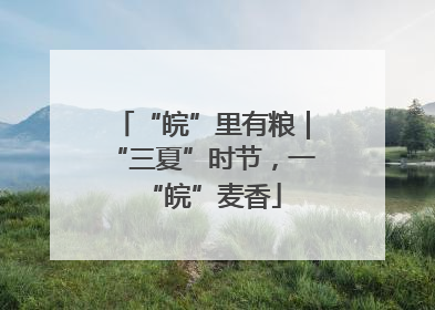 “皖”里有粮｜“三夏”时节，一“皖”麦香