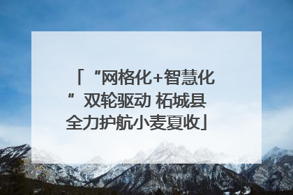 “网格化+智慧化”双轮驱动 柘城县全力护航小麦夏收