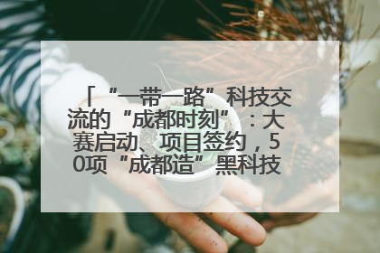 “一带一路”科技交流的“成都时刻”：大赛启动、项目签约，50项“成都造”黑科技吸引多国客商