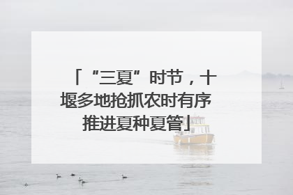 “三夏”时节,十堰多地抢抓农时有序推进夏种夏管