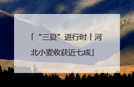 “三夏”进行时丨河北小麦收获近七成