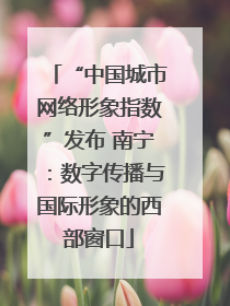 “中国城市网络形象指数”发布 南宁：数字传播与国际形象的西部窗口