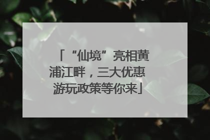 “仙境”亮相黄浦江畔，三大优惠游玩政策等你来