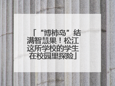 “博柿岛”结满智慧果！松江这所学校的学生在校园里探险