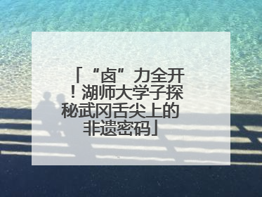 “卤”力全开！湖师大学子探秘武冈舌尖上的非遗密码