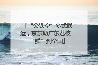 “公铁空”多式联运，京东助广东荔枝“鲜”到全国
