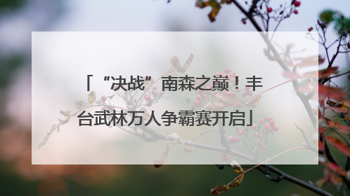 “决战”南森之巅！丰台武林万人争霸赛开启
