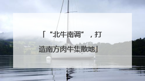 “北牛南调”，打造南方肉牛集散地
