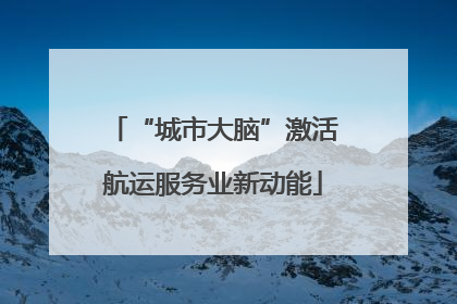 “城市大脑”激活航运服务业新动能