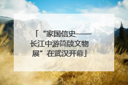 “家国信史——长江中游简牍文物展”在武汉开幕