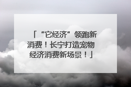 “它经济”领跑新消费！长宁打造宠物经济消费新场景！