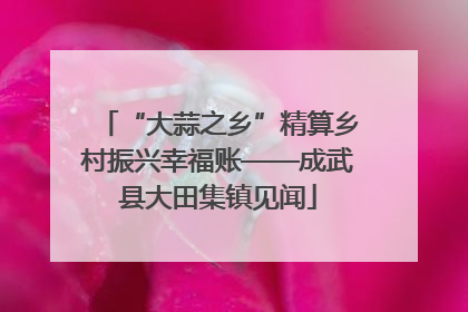 “大蒜之乡”精算乡村振兴幸福账——成武县大田集镇见闻