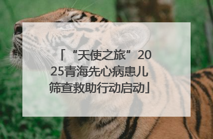 “天使之旅”2025青海先心病患儿筛查救助行动启动