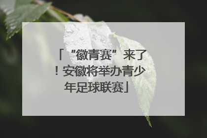 “徽青赛”来了！安徽将举办青少年足球联赛