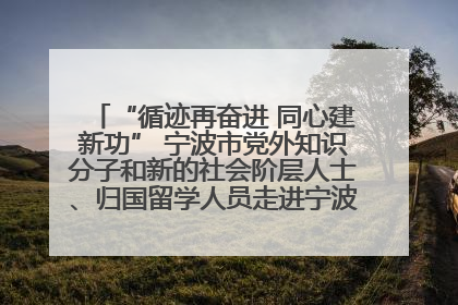 “循迹再奋进 同心建新功” 宁波市党外知识分子和新的社会阶层人士、归国留学人员走进宁波舟山港穿山港区