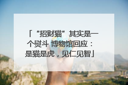 “招财猫”其实是一个熨斗 博物馆回应：是猫是虎，见仁见智