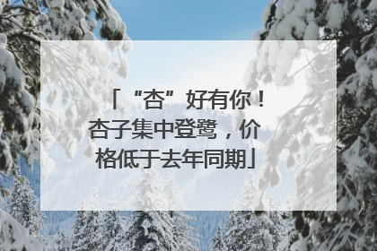 “杏”好有你！杏子集中登鹭，价格低于去年同期