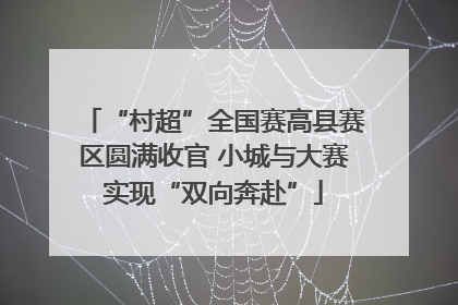 “村超”全国赛高县赛区圆满收官 小城与大赛实现“双向奔赴”