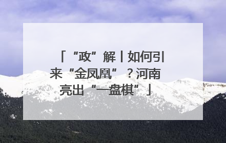 “政”解丨如何引来“金凤凰”？河南亮出“一盘棋”