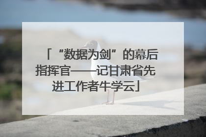 “数据为剑”的幕后指挥官——记甘肃省先进工作者牛学云