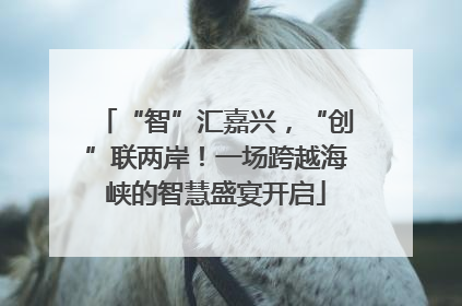 “智”汇嘉兴，“创”联两岸！一场跨越海峡的智慧盛宴开启