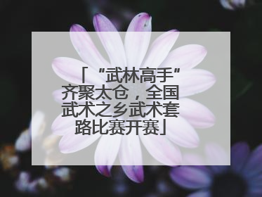 “武林高手”齐聚太仓，全国武术之乡武术套路比赛开赛