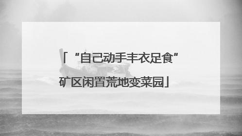 “自己动手丰衣足食”矿区闲置荒地变菜园