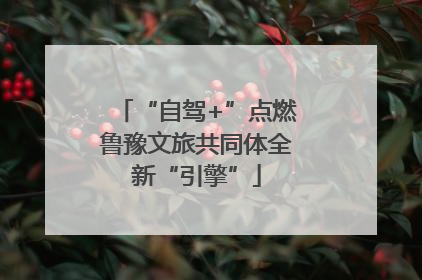 “自驾+”点燃鲁豫文旅共同体全新“引擎”