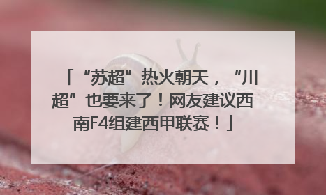 “苏超”热火朝天，“川超”也要来了！网友建议西南F4组建西甲联赛！