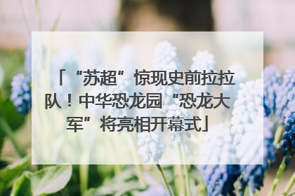 “苏超”惊现史前拉拉队！中华恐龙园“恐龙大军”将亮相开幕式