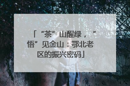“茶”山醒绿，“悟”见金山：鄂北老区的振兴密码