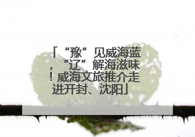 “豫”见威海蓝，“辽”解海滋味！威海文旅推介走进开封、沈阳