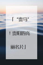 “贵马”！贵阳的亮丽名片