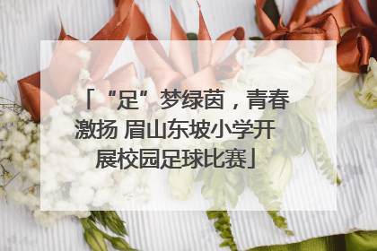 “足”梦绿茵，青春激扬 眉山东坡小学开展校园足球比赛