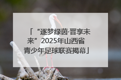 “逐梦绿茵·晋享未来”2025年山西省青少年足球联赛揭幕