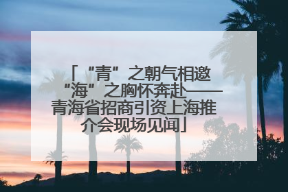 “青”之朝气相邀 “海”之胸怀奔赴——青海省招商引资上海推介会现场见闻