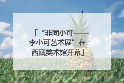 “非同小可——李小可艺术展”在西藏美术馆开幕