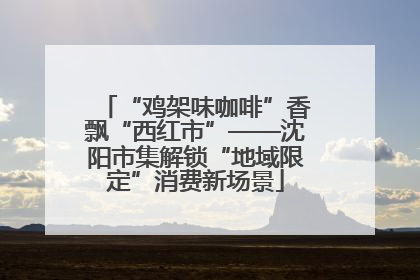 “鸡架味咖啡”香飘“西红市”——沈阳市集解锁“地域限定”消费新场景