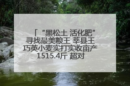 “黑松土 活化肥”寻找最美粮王 莘县王巧英小麦实打实收亩产1515.4斤 超对照田144斤！