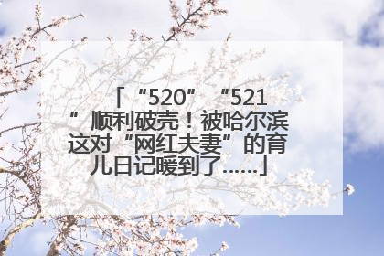 “520”“521”顺利破壳！被哈尔滨这对“网红夫妻”的育儿日记暖到了……