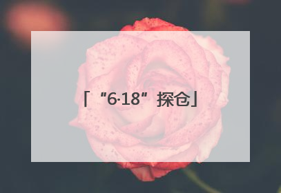 “6·18”探仓